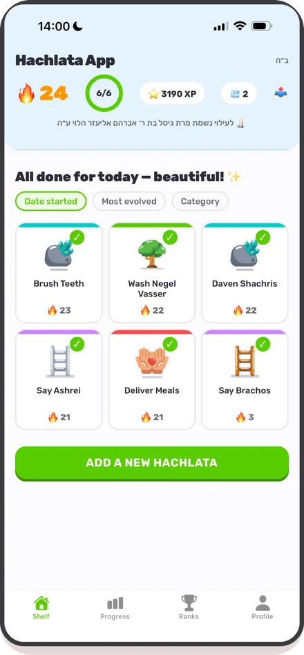 Hachlata — adopt a symbol
